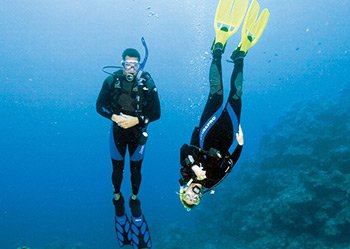 Professional Scuba Instruction Diploma | Dive HQ Westhaven
