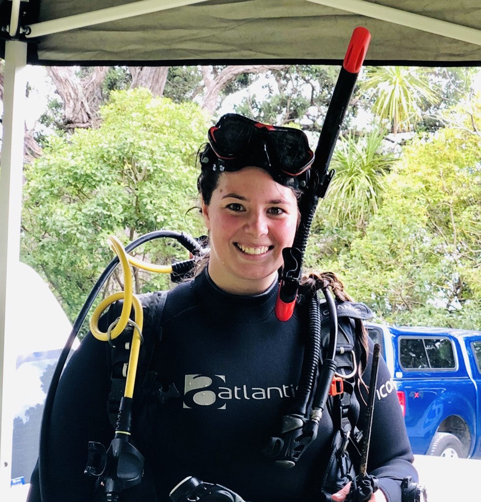 snorkelling New Zealand Dive HQ Auckland