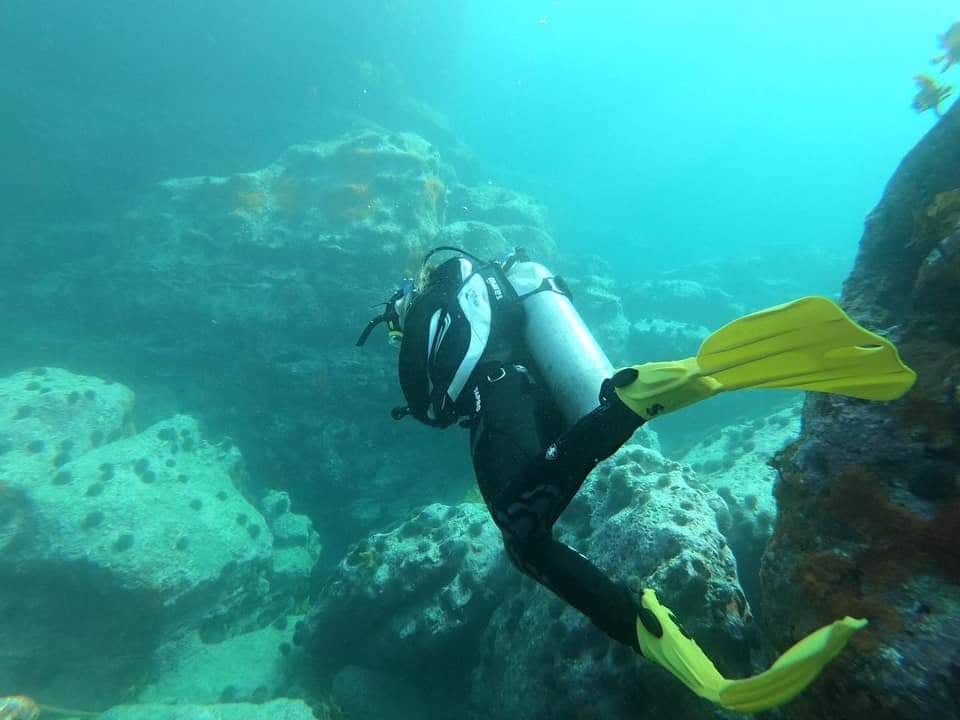 Are there any jobs in the dive industry? Dive HQ Auckland