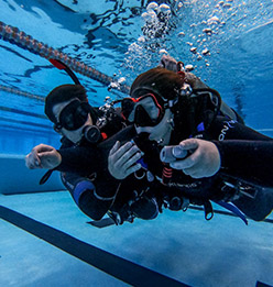 PADI Open water Diver Course (Deposit Only)
