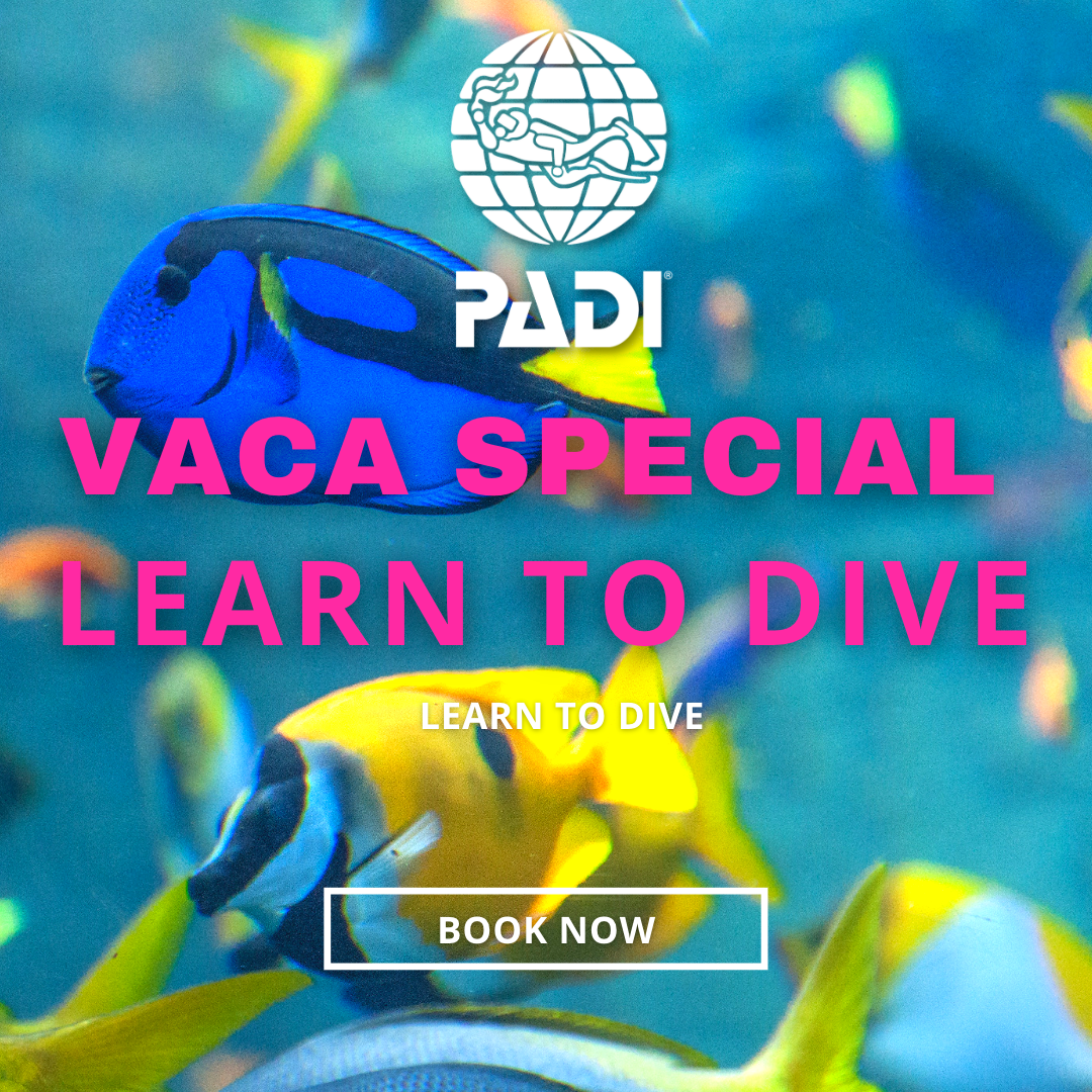 Learn to Dive Before Vacation Receive a $50 Voucher for Scuba Gear
