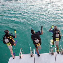 Dive HQ Westhaven PADI Scuba Diving Summer School Courses