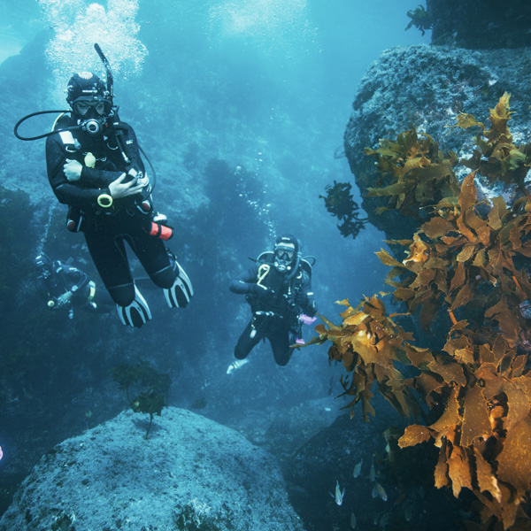 Safe Practice in Context