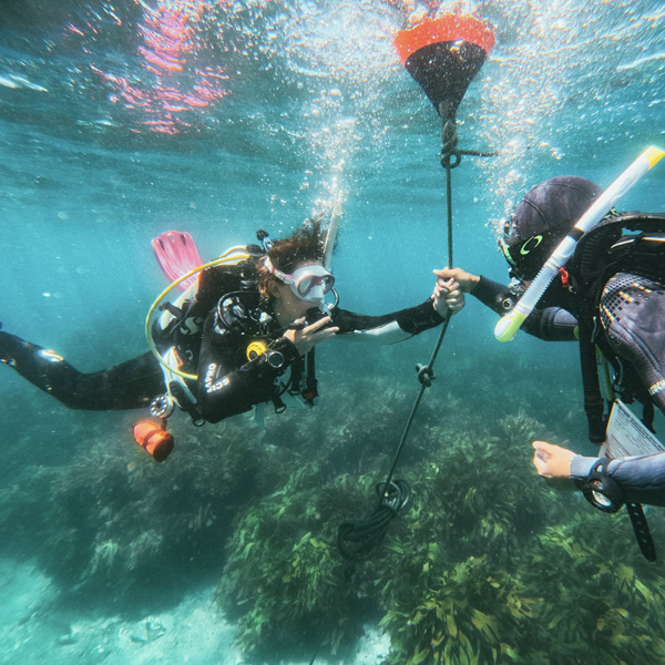 Skills for Further Training