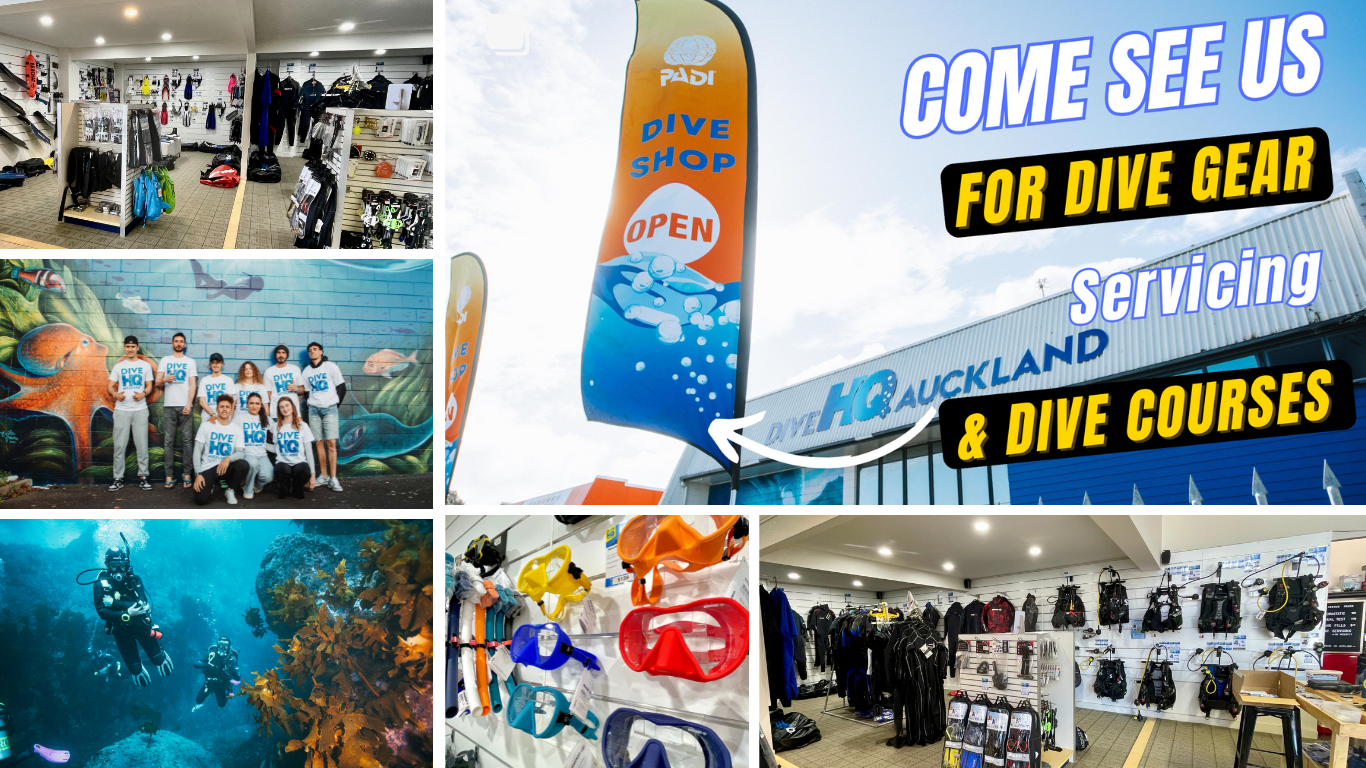 Dive HQ AUckland shop