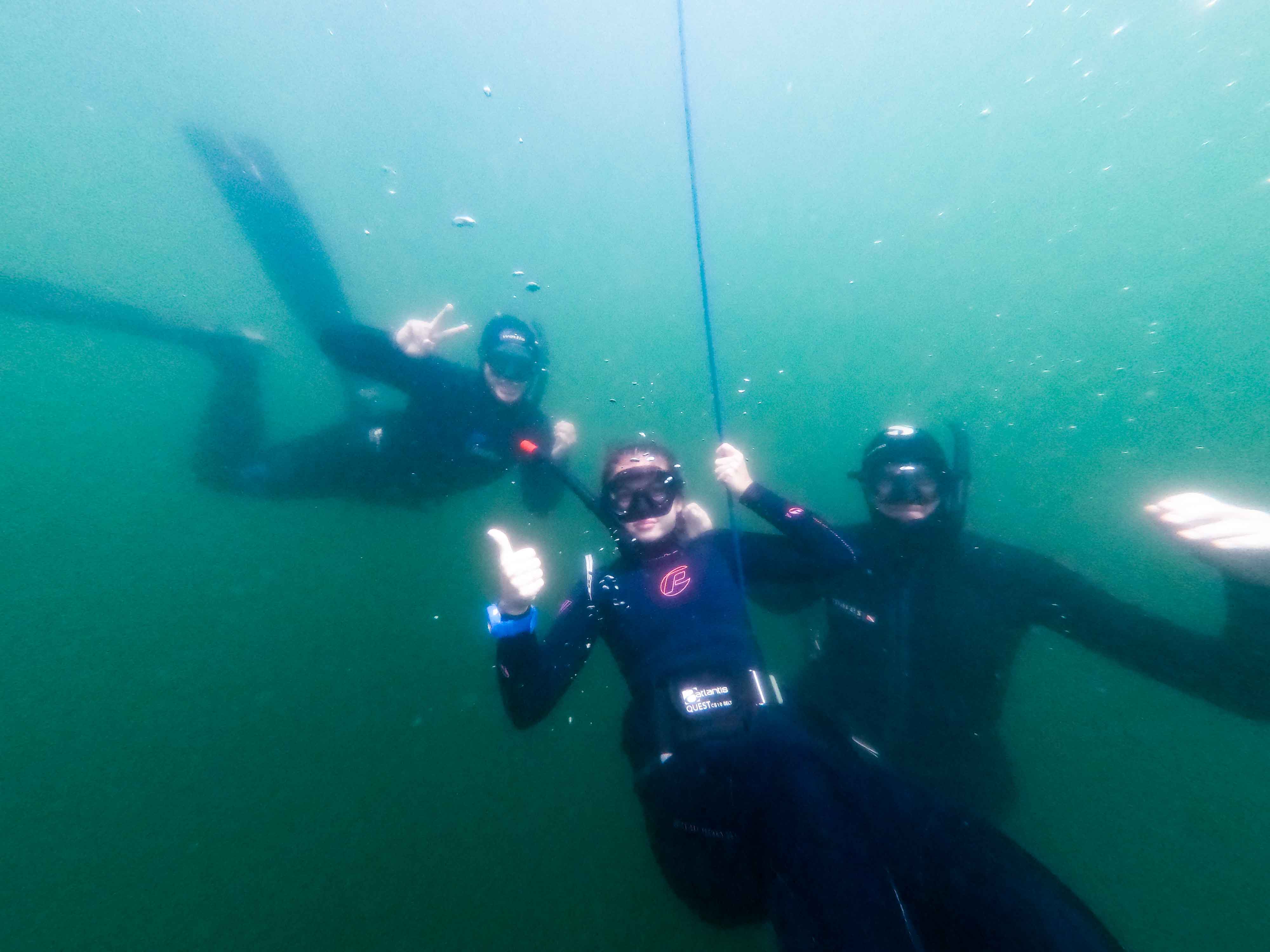 Freediving-Courses-NZ